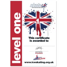 Skate UK Level 1 Certificate
